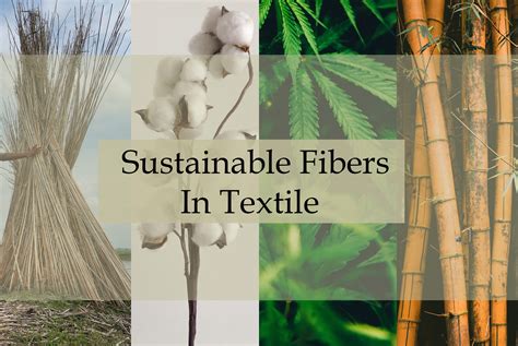 Hemp Fiber: A Sustainable Wonder for Textile Innovation and Eco-Friendly Production!