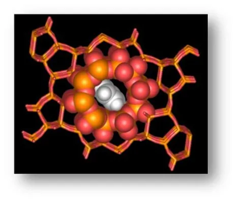 Zeolites: 미래 에너지 산업을 이끌어갈 특별한 촉매제!